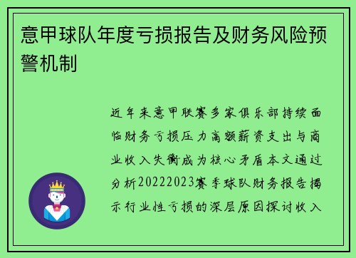 意甲球队年度亏损报告及财务风险预警机制