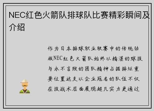 NEC红色火箭队排球队比赛精彩瞬间及介绍